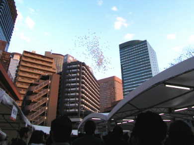 �C���p�N�߂��̃r���@���D���L�O�ɁE�E�E